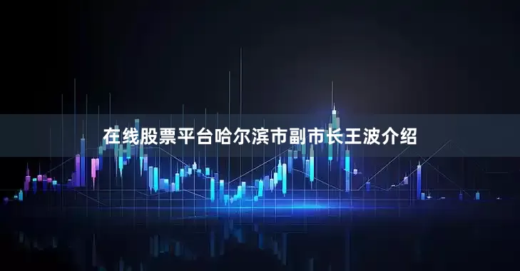 在线股票平台哈尔滨市副市长王波介绍