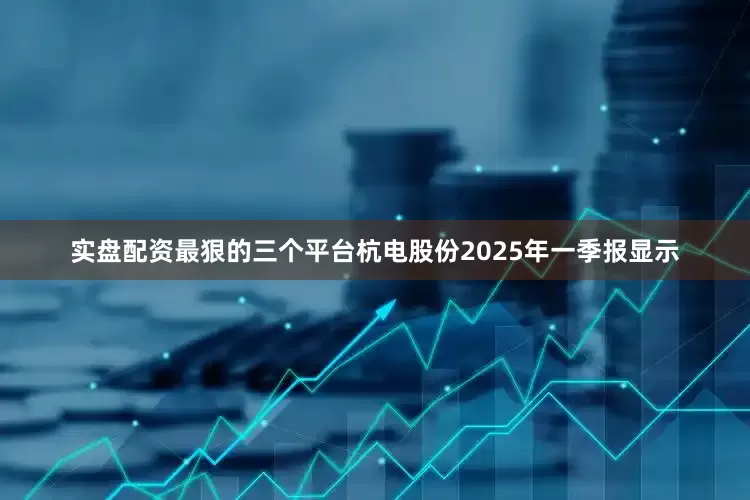 实盘配资最狠的三个平台杭电股份2025年一季报显示