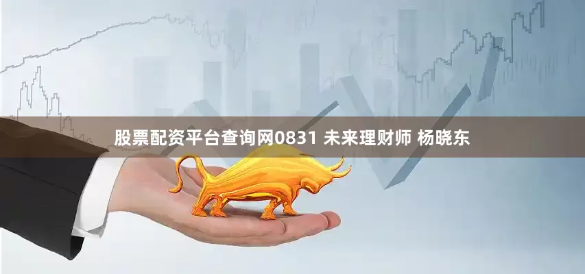 股票配资平台查询网0831 未来理财师 杨晓东