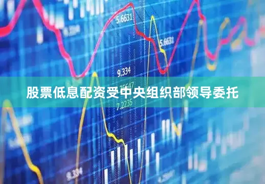 股票低息配资受中央组织部领导委托