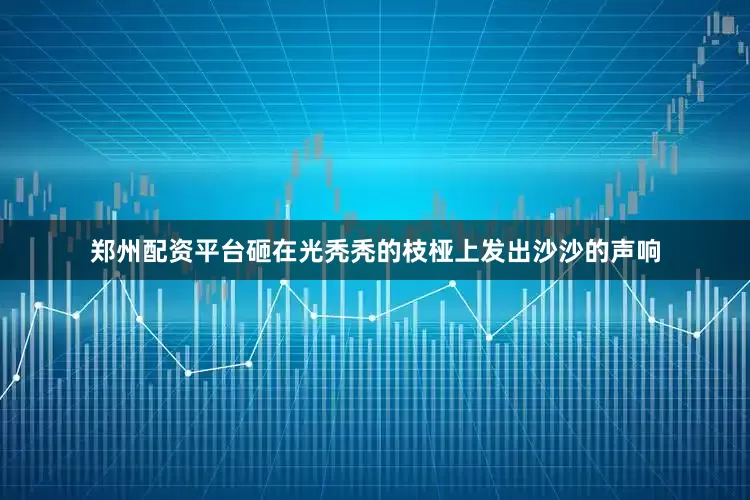 郑州配资平台砸在光秃秃的枝桠上发出沙沙的声响