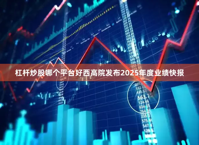 杠杆炒股哪个平台好西高院发布2025年度业绩快报